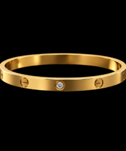 Bracelete Aço Inox Dourado 049