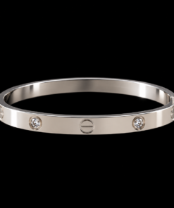 Bracelete Aço Inox Prata 010