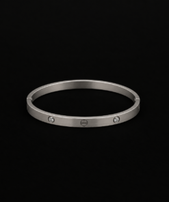 Bracelete Aço Inox Prata 057
