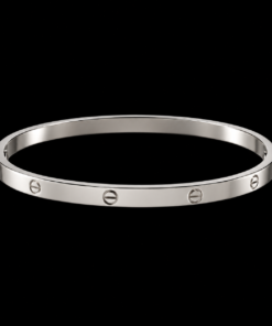 Bracelete Aço Inox Prata 007