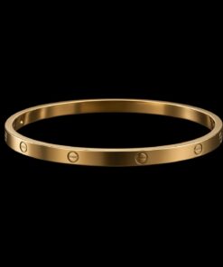 Bracelete Aço Inox Dourado 026