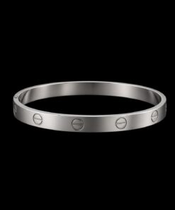 Bracelete Aço Inox Prata 034